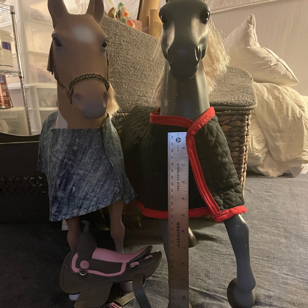 2 Our Generation horses